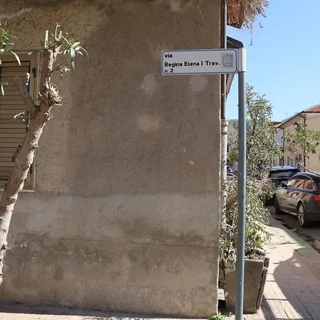 Mariste * パルゲリーア