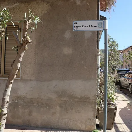 Mariste * パルゲリーア